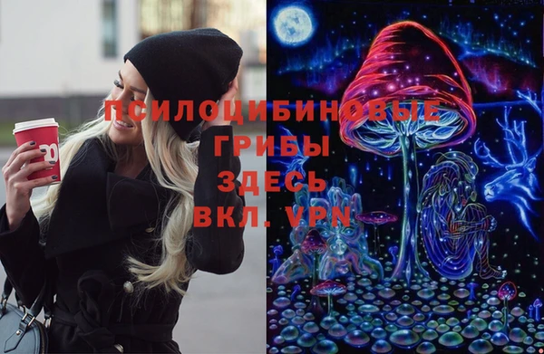 тгк Абинск