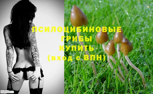 синтетический гашиш Абаза