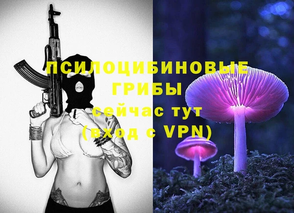 тгк Абинск