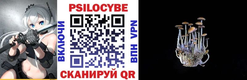 Псилоцибиновые грибы Psilocybe  цена   Холм 